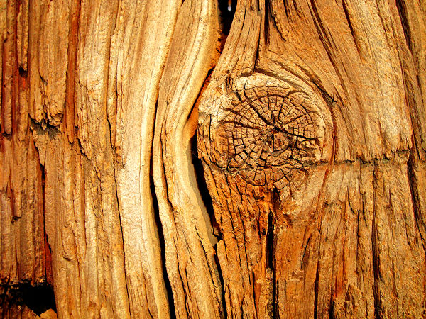 wood closeup