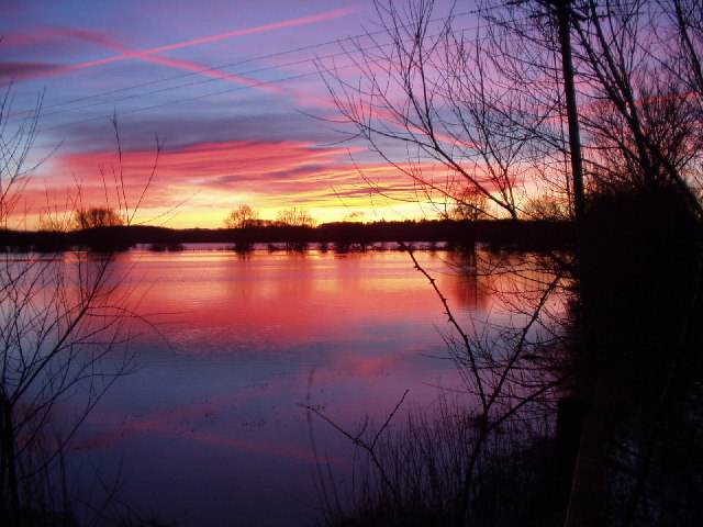 Floods, Politics and Science: The Case of the Somerset Levels