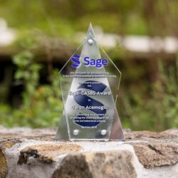 Outstanding Social and Behavioral Scientists Sought for Sage-CASBS Award