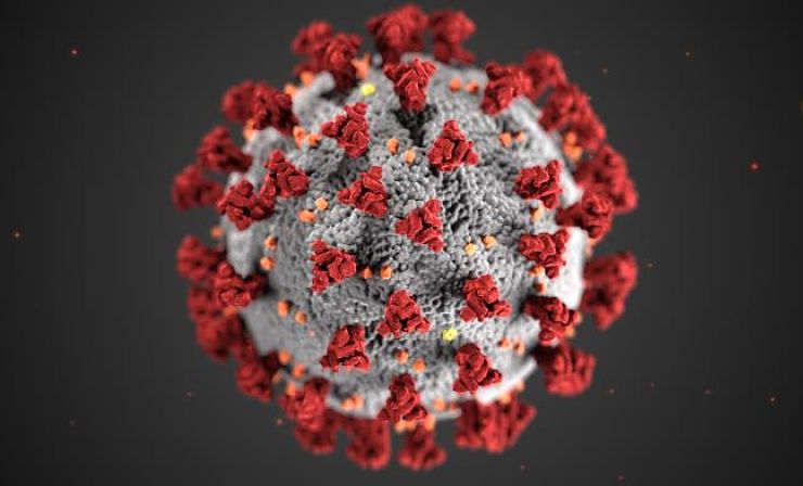 depiction of a coronavirus from CDC