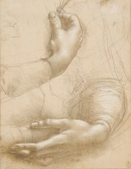  A study of a woman's hands 