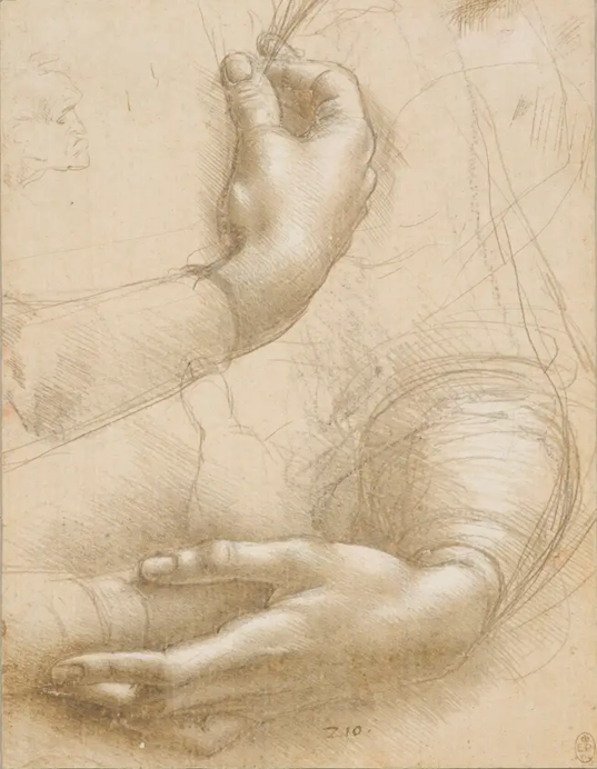 A study of a woman's hands
