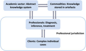 framework of mature profession