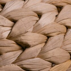 After the University? Braiding a Path Forward