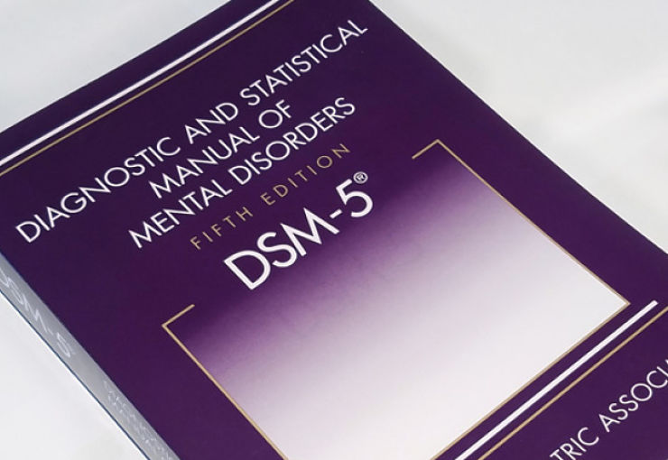 DSM-5 cover