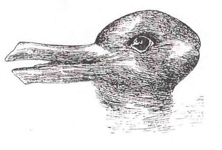 Duck or rabbit paradox