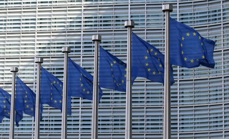 Photograph of European Union flags.