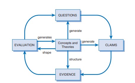 essay about social science disciplines