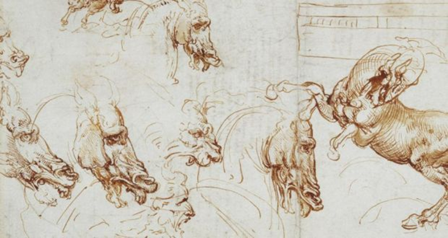 Expressions of fury in horses, lions and a man