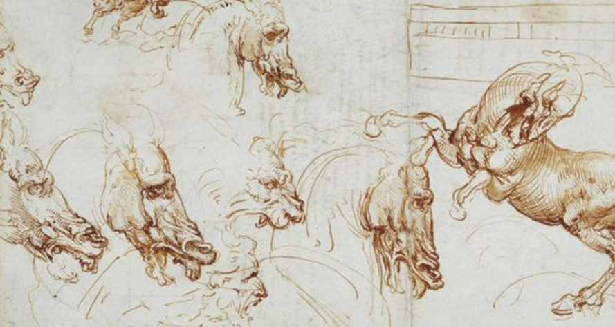 Expressions of fury in horses, lions and a man 