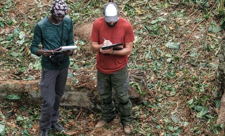 Two men with clipboards in field