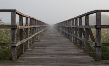 Wooden boardwalk runs into foggy distance