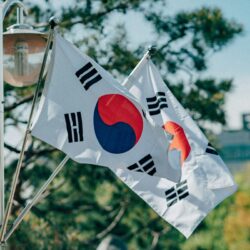 After the University, Where is Knowledge Headed?