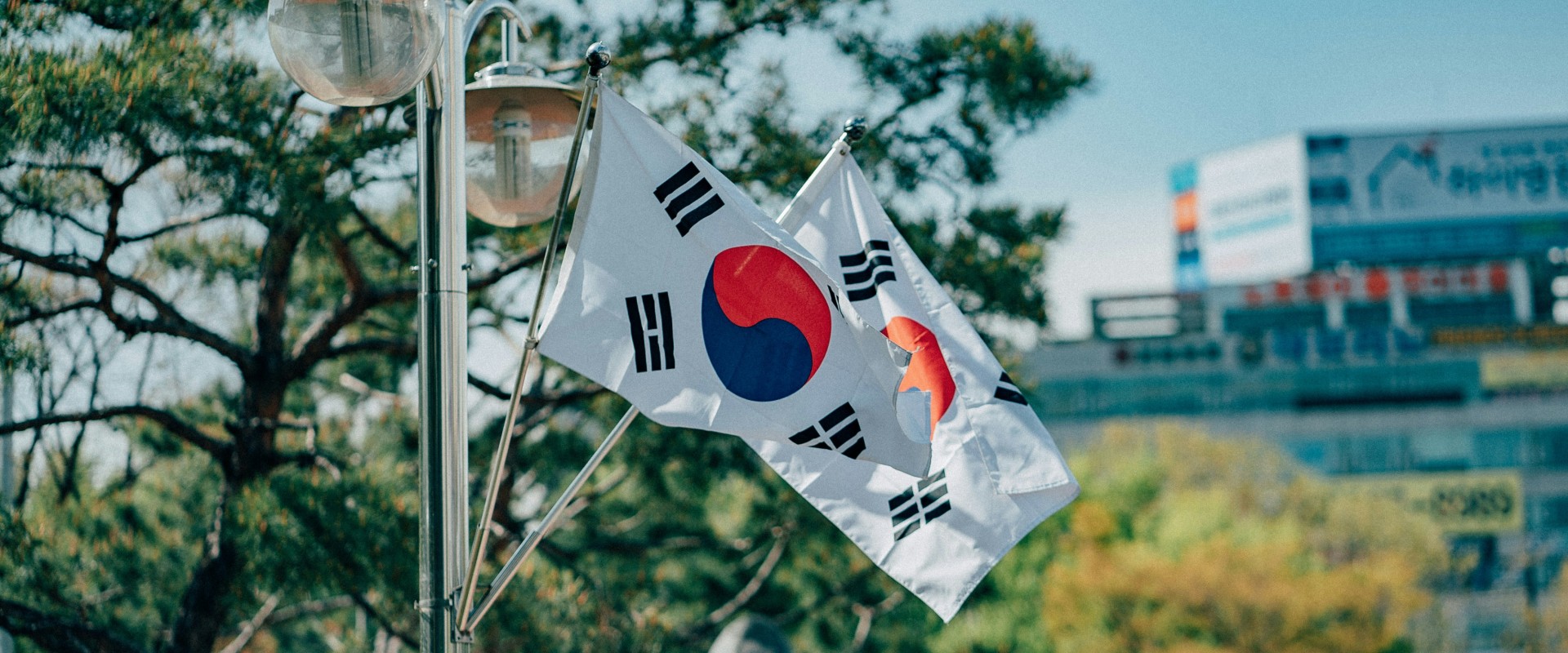 After the University, Where is Knowledge Headed?