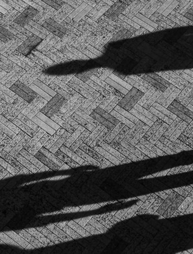 Third Edition of ‘The Evidence’: How Can We Overcome Sexism in AI?