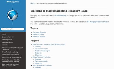 Homepage screenshot of the Macromarketing Pedagogy Place website