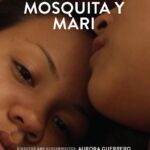 Two Chicana high schoolers, Mari and Yolanda, form a bond that confuses them at times.
