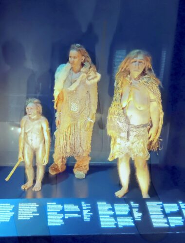 The Musée des Confluences: Celebrating Secularism and the Sciences