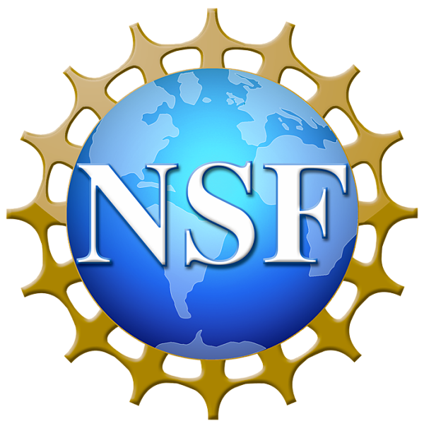 Opportunity: NSF Seeks Social Science Research on STEM
