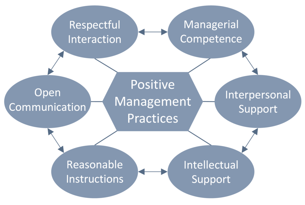 A bubble map of Positive Management Practice surrounded by the six main dimensions of Positive Management Practice: respectful interaction, open communication, interpersonal support, intellectual support, reasonable instructions, and managerial competence.
