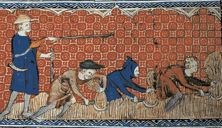 Medieval illustration of men harvesting wheat with reaping-hooks