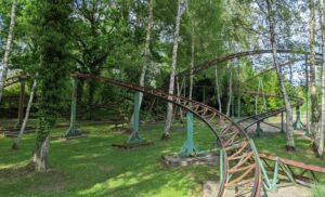 Photograph of the tracks of an abandoned rollercoaster in a forest.