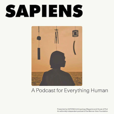 SAPIENS logo