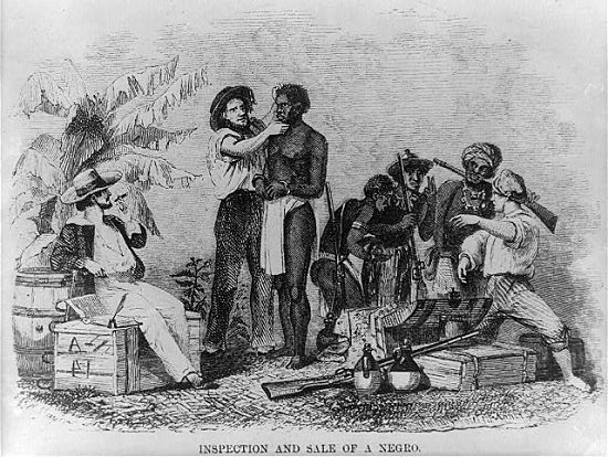 Understanding the Slave Trade