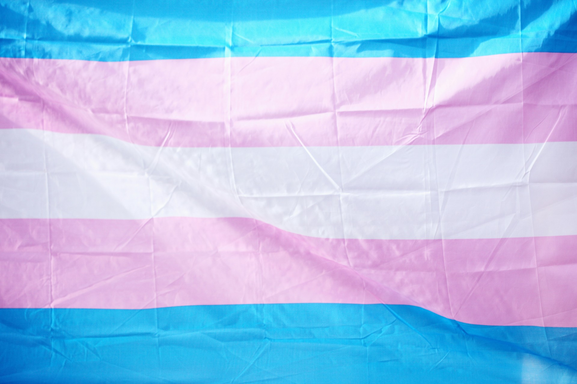 Trans Visibility, Resistance, and Hope in an Anti-Trans U.S. Political Climate