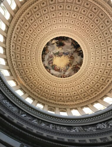 AAPSS Names Eight as 2024 Fellows