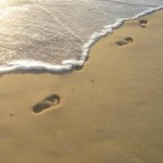 Profile picture of sophie