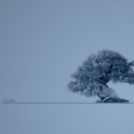 Profile picture of Rebecca