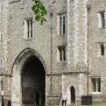 Profile picture of oldalbanian