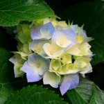 Profile picture of maydayz