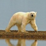 Profile picture of mmedlin