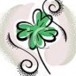 Profile picture of irishrose1015