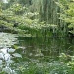 Profile picture of aleksandraj