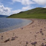 Profile picture of amanda