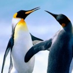 Profile picture of jmshrinkingman