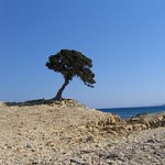 Profile picture of imatfaal