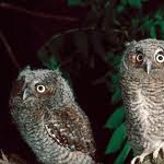 Profile picture of melb4886