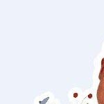 Profile picture of smithtom887