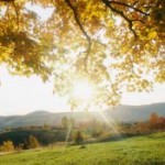 Profile picture of claire