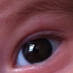 Profile picture of rh31