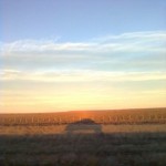 Profile picture of vhmazzzalay