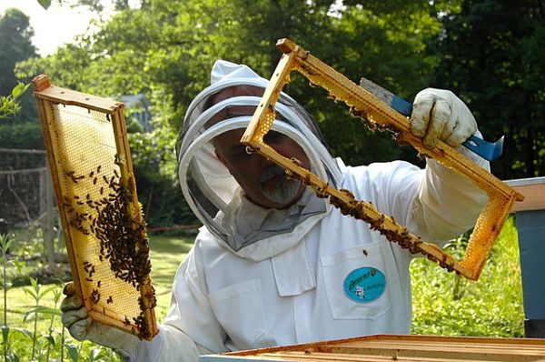 beekeeper-