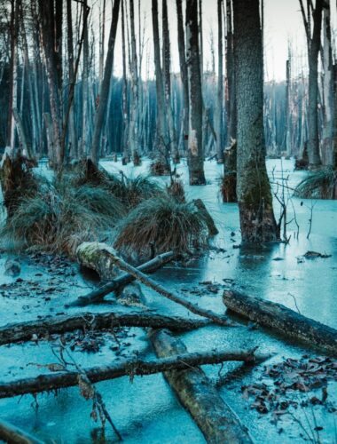 There’s Something in the Air, Part 2 – But It’s Not a Miasma