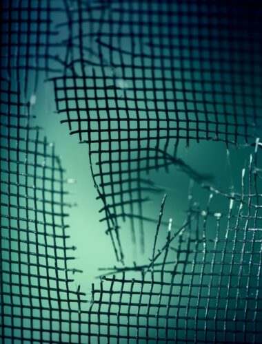 A Promising Early-Career Researcher Details the Harms from Battering the NSF