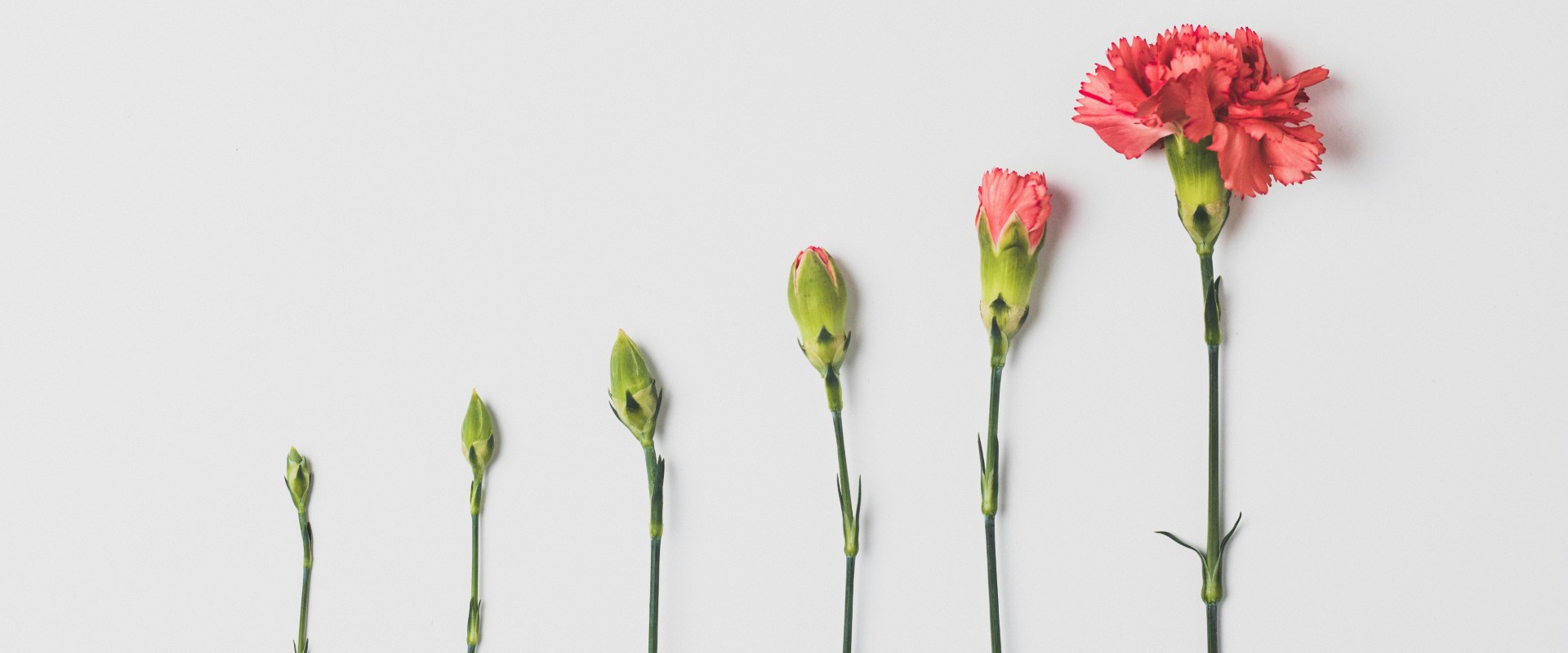 Sage’s 10-Year Impact Awards Capture Longer-Term Significance