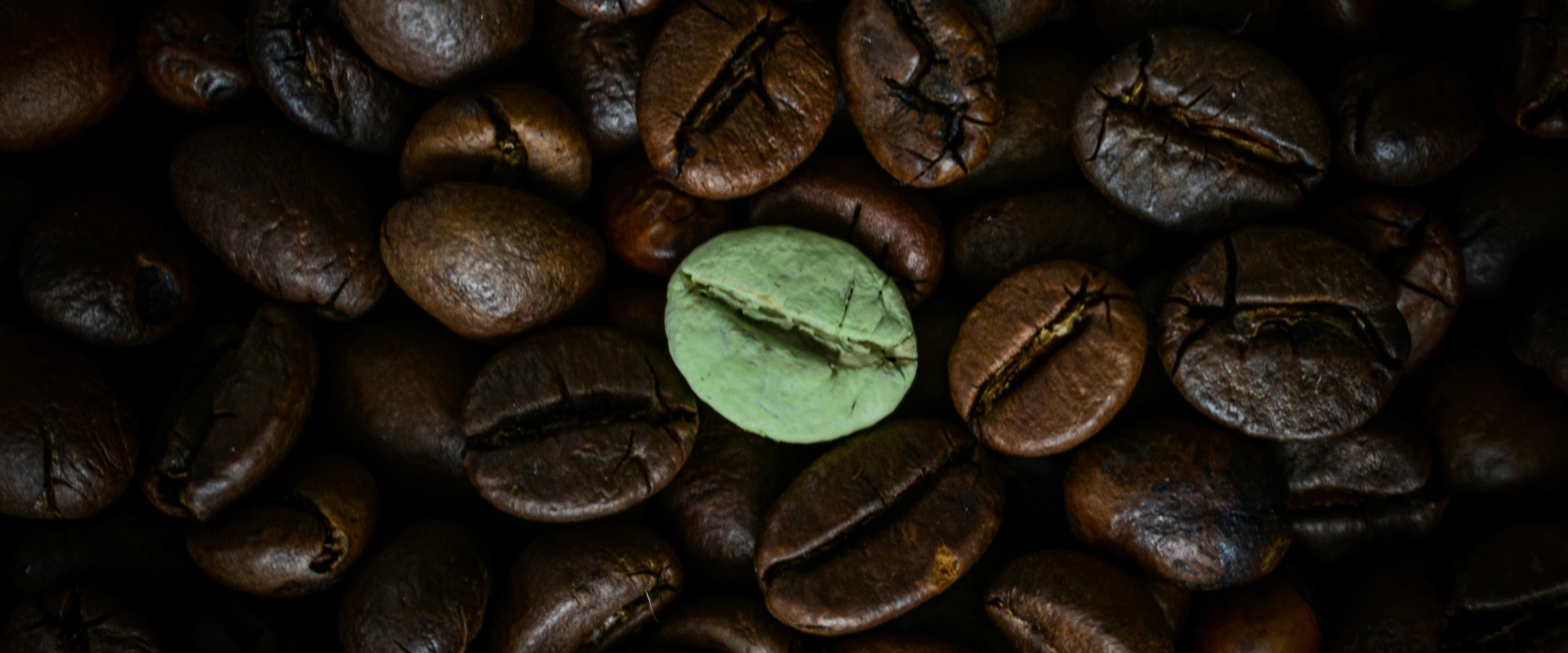 Paul Bloom on Empathy